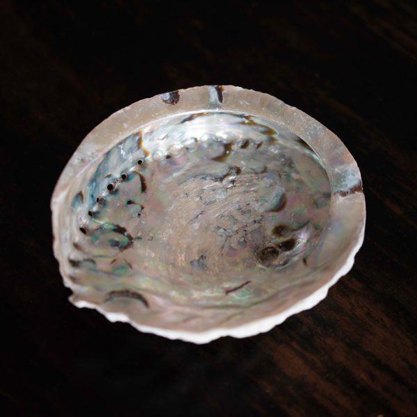 Abalone Shell - Image 3